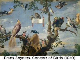 bird concert