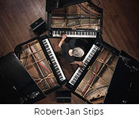 Robert-Jan Stips