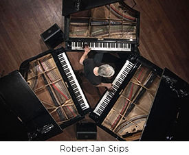 Robert-Jan Stips