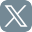 X (Twitter)